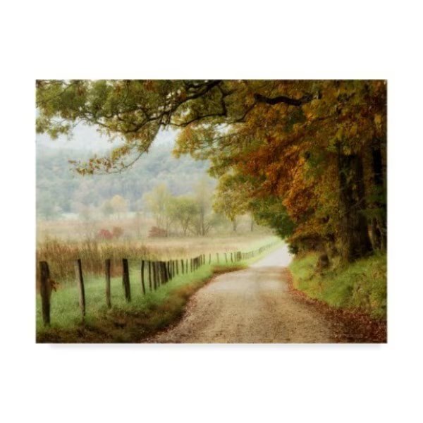 Danny Head 'Autumn On A Country Road' Canvas Art, 35x47, Trademark Fine Art, Mfr#: WAG03860-C3547GG
